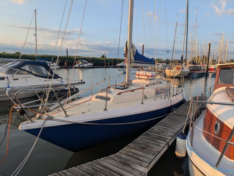 Neptun 31