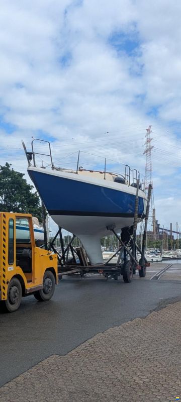 Neptun 31
