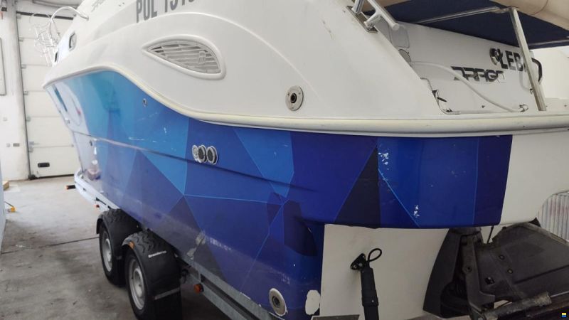 Drago 29