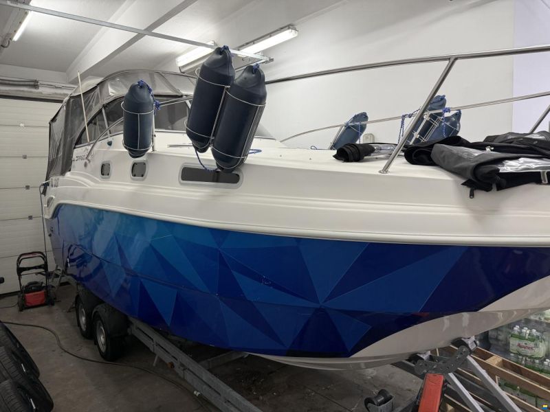 Drago 29