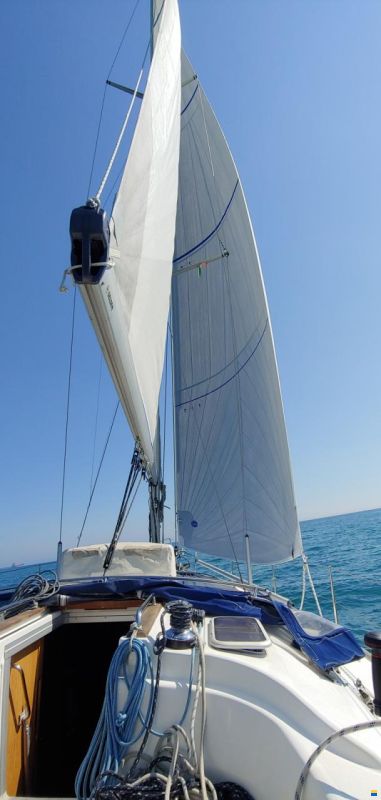 Bavaria 38