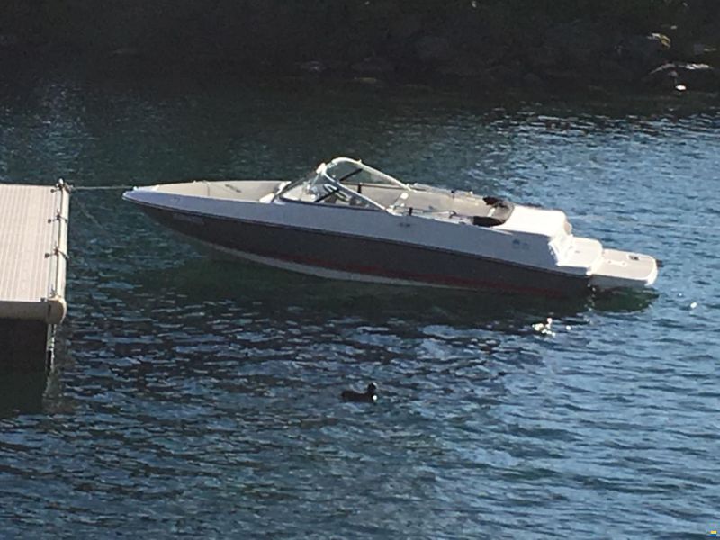 Bayliner Bateau de Sport, Categorie Conception C