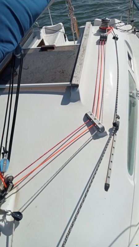 Astraea 260 Sprint