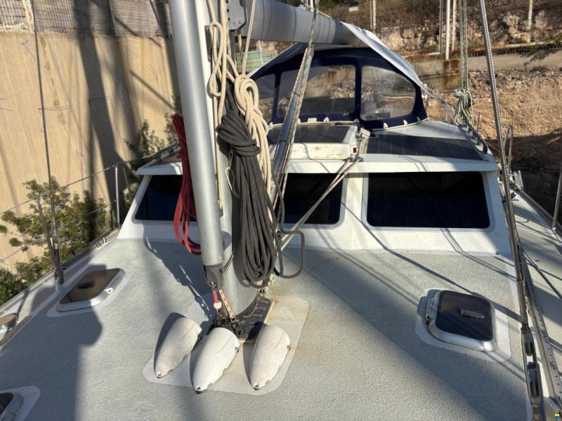 Scandi Yacht Scandi 42