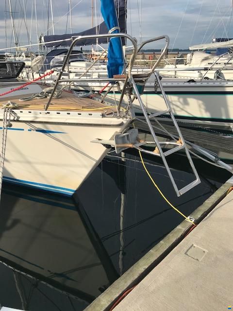 Asmus Hanseat 37S
