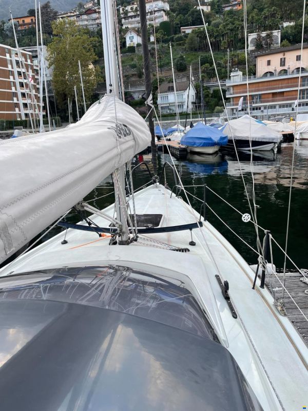 Bente 24