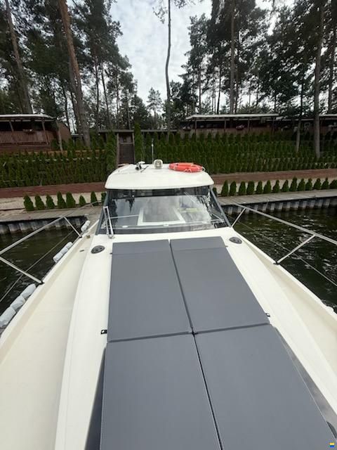 Delphia Platinum 989