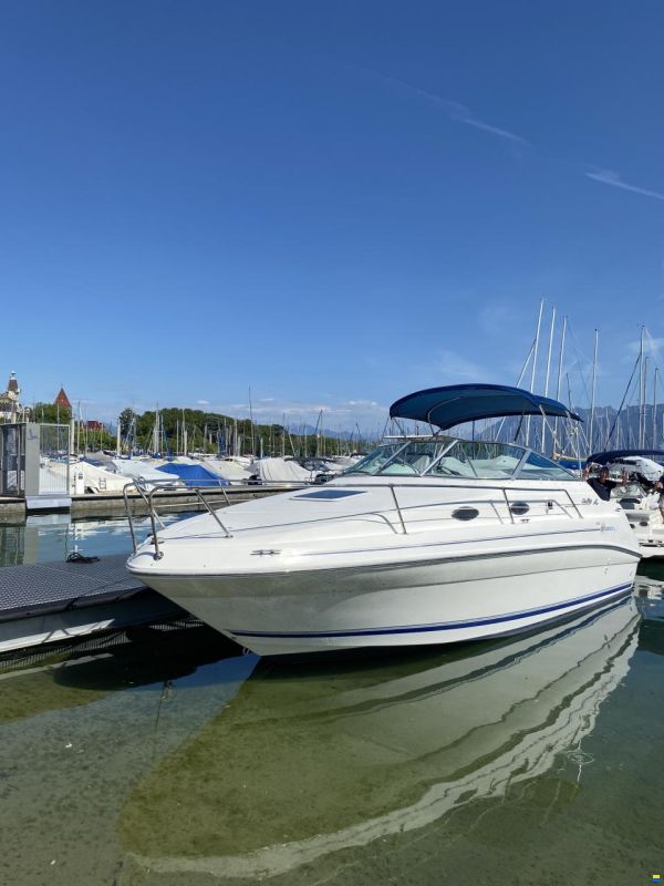 Sea Ray 240 DA