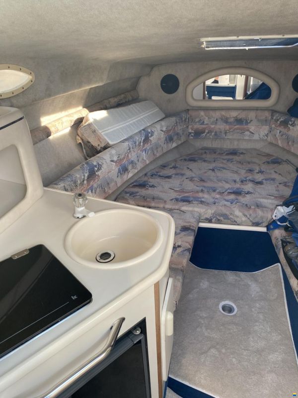 Sea Ray 240 DA