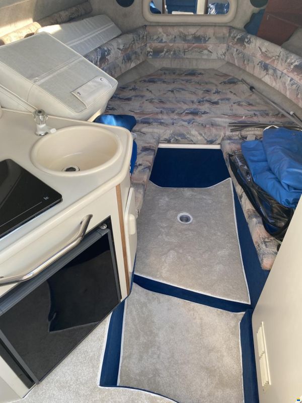 Sea Ray 240 DA