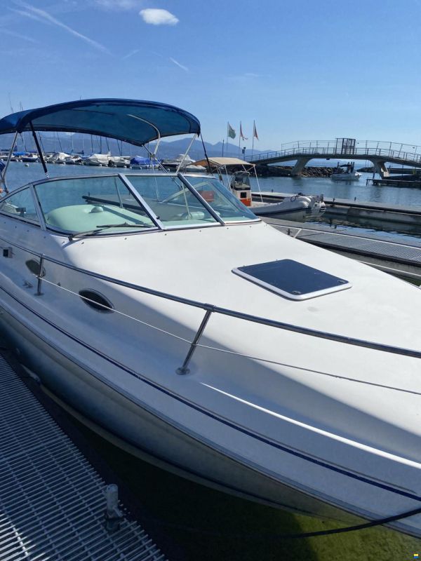 Sea Ray 240 DA