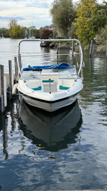 Larson SEI 206 BR