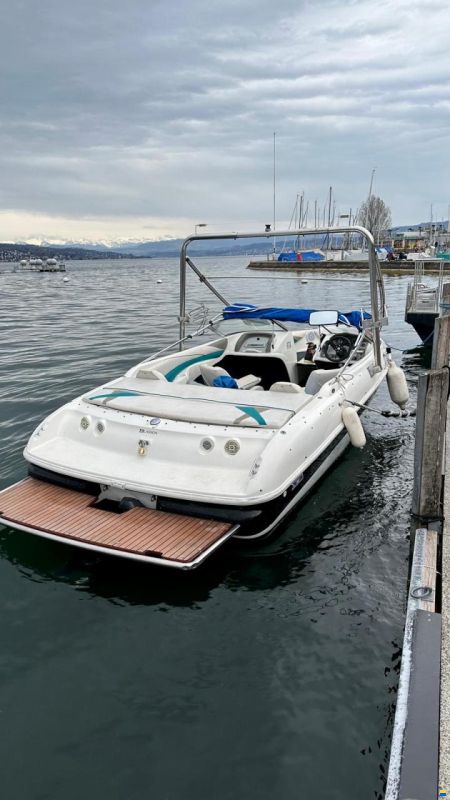 Larson SEI 206 BR