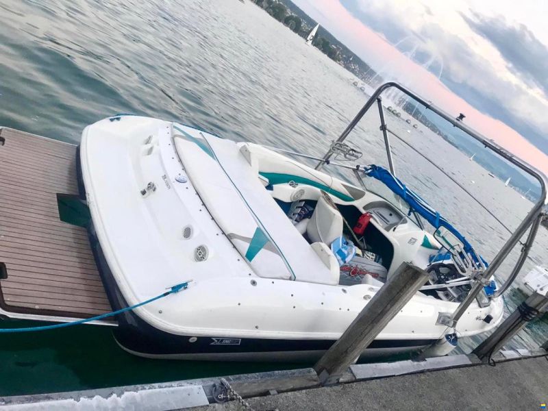 Larson SEI 206 BR