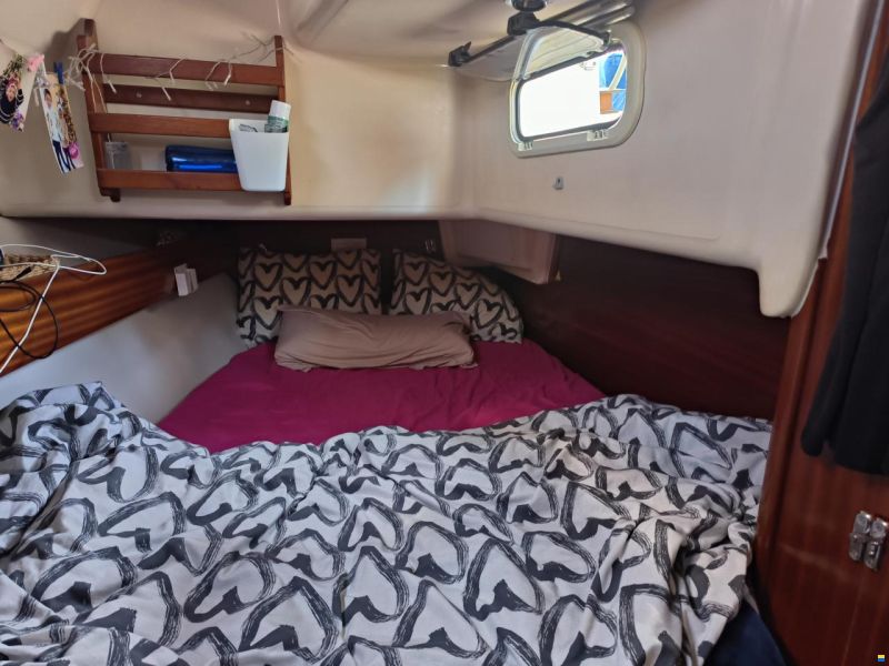 Bavaria 37