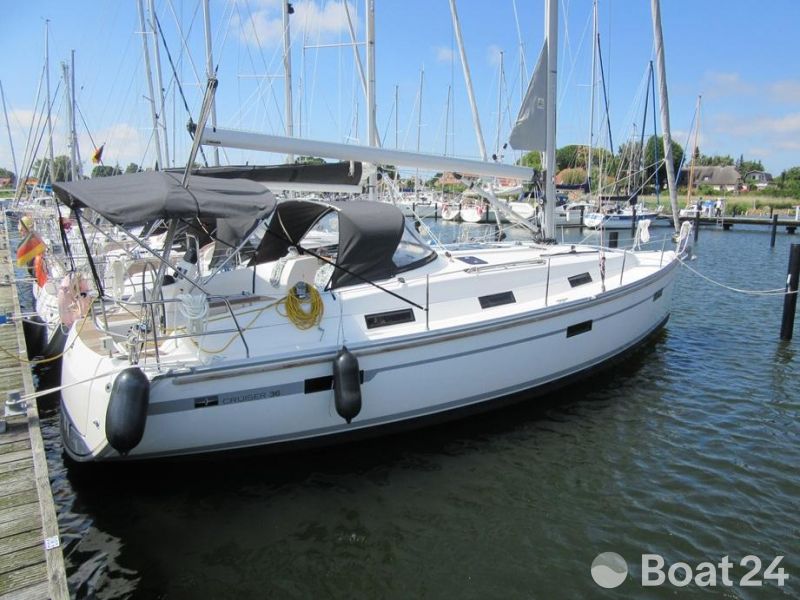 Cruiser 36