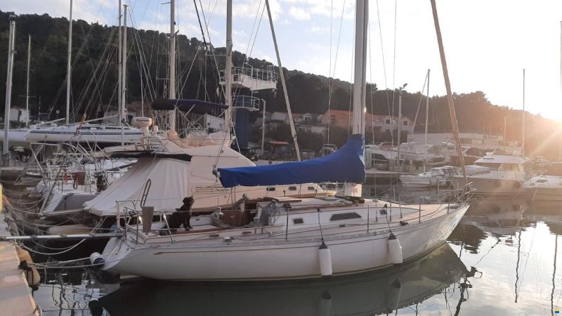 Olympic Carter 37