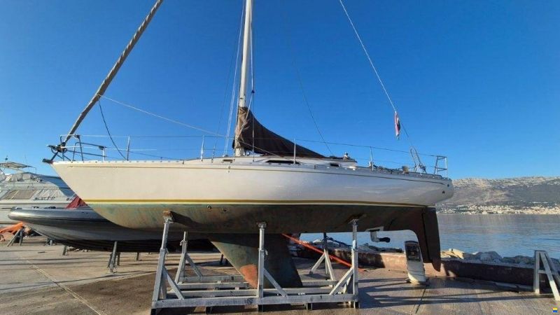 Olympic Carter 37