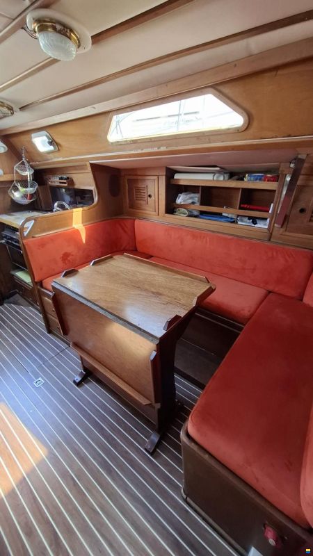 Olympic Carter 37