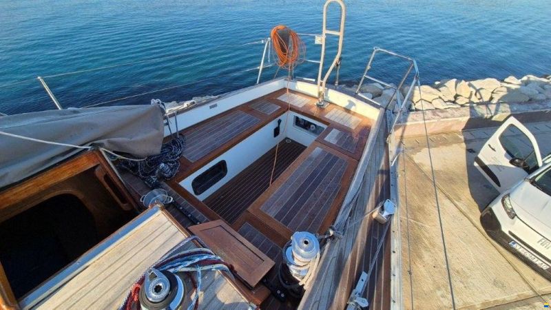 Olympic Carter 37
