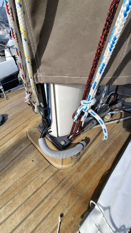 Olympic Carter 37