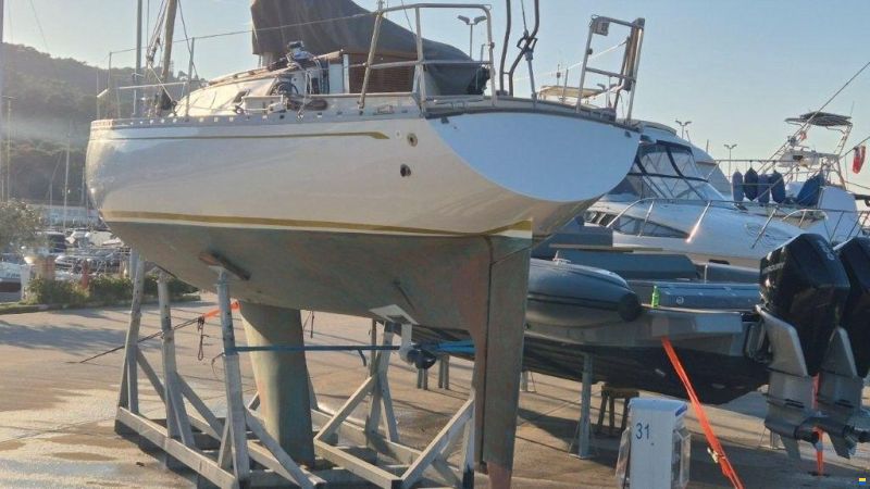 Olympic Carter 37