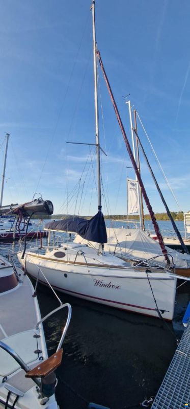 Etap Etap21i