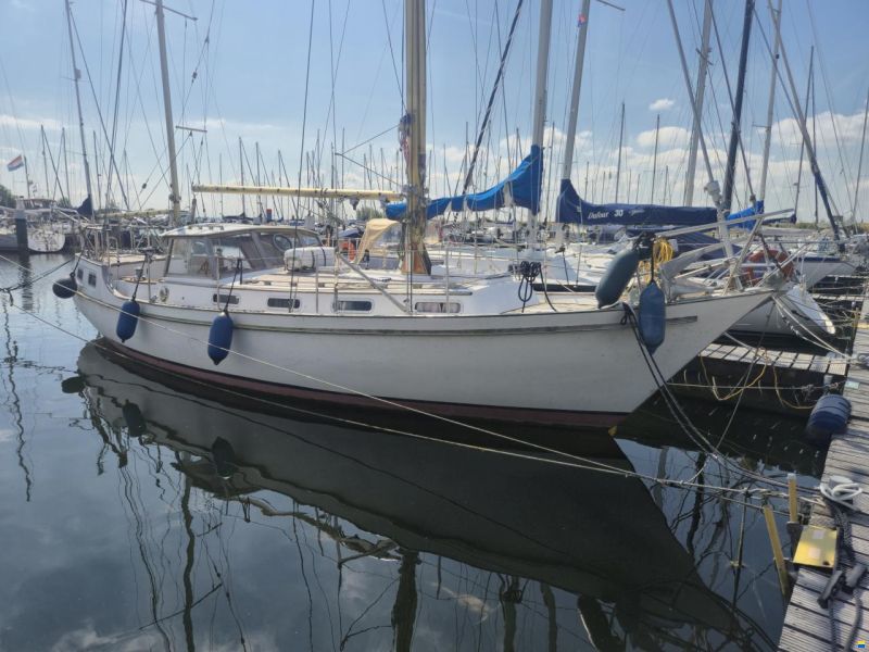 Trintella 3a Dockhouse