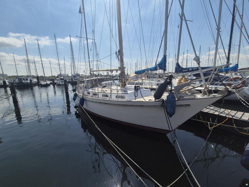 Trintella 3a Dockhouse