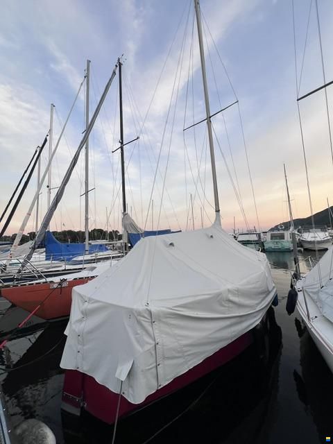 Aubin Cognac
