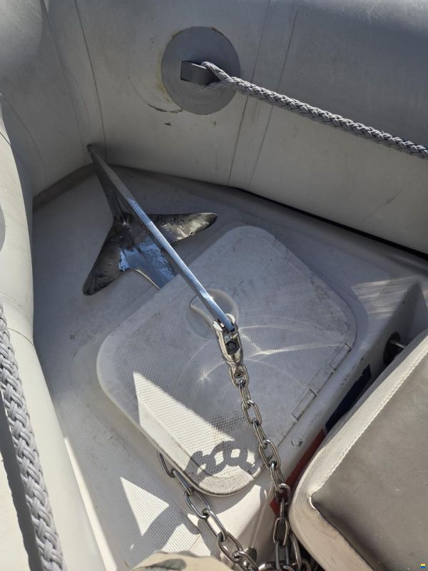 Zodiac Vaillant 450