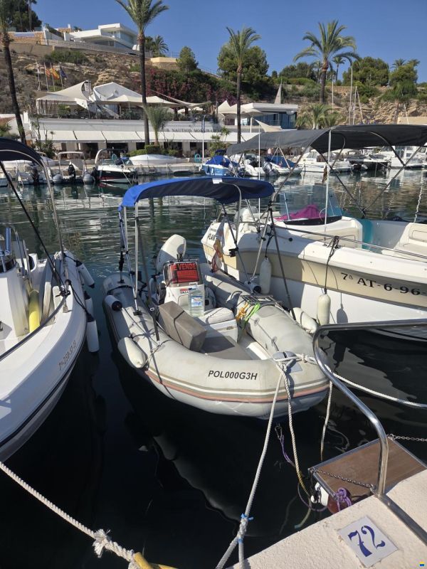 Zodiac Vaillant 450
