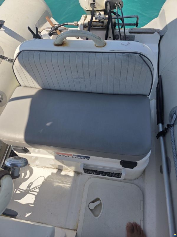 Zodiac Vaillant 450