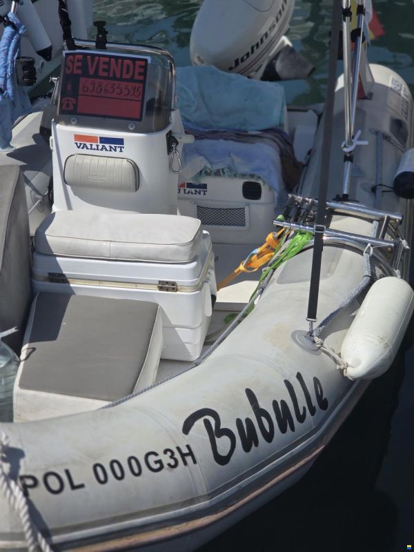 Zodiac Vaillant 450