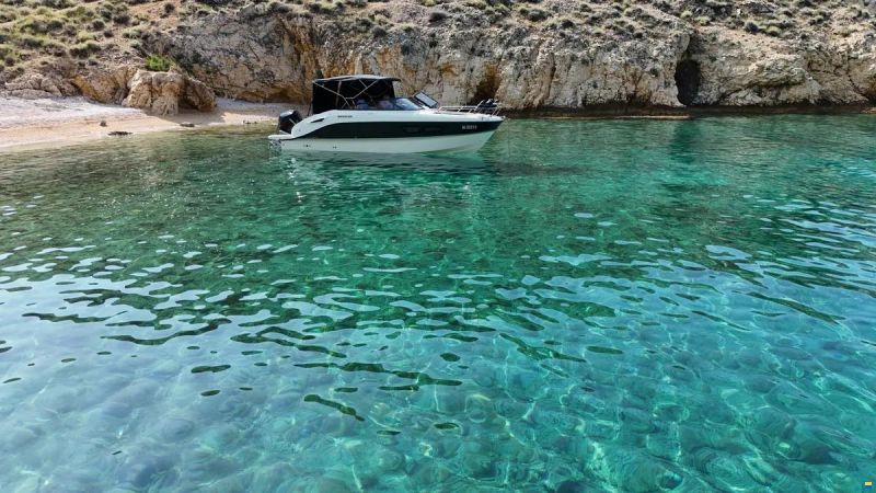 Quicksilver 805 Cruiser