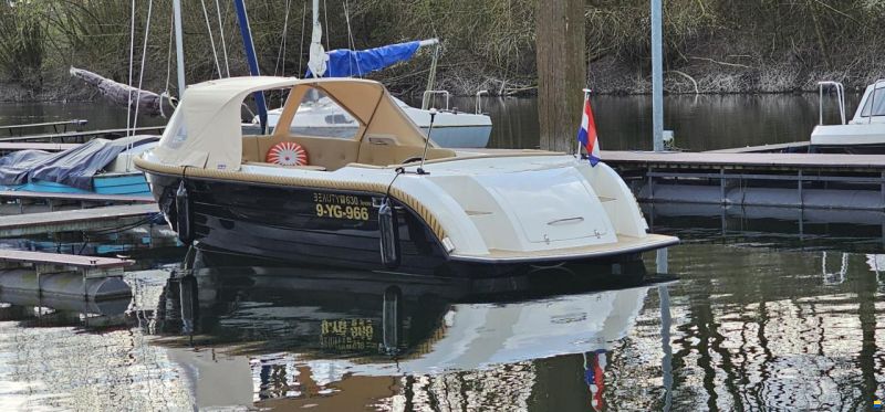 Beauty 630 Tender