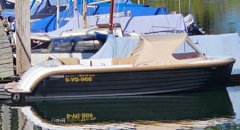 Beauty 630 Tender