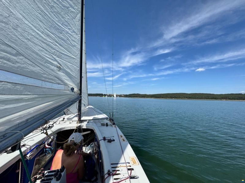 Petticrows Soling