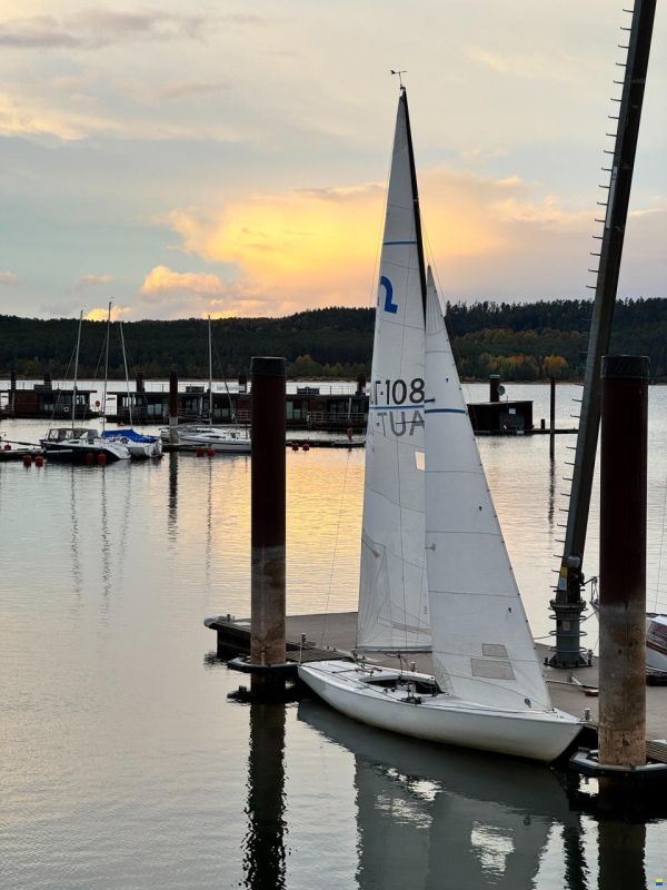Petticrows Soling