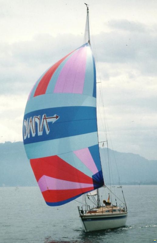 Wirz-Luffe 37