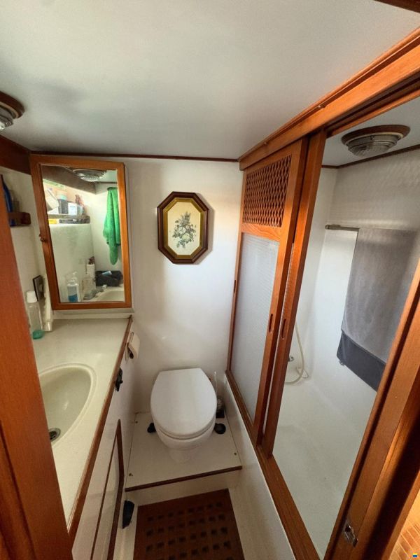 Tarquin Trader 41+2