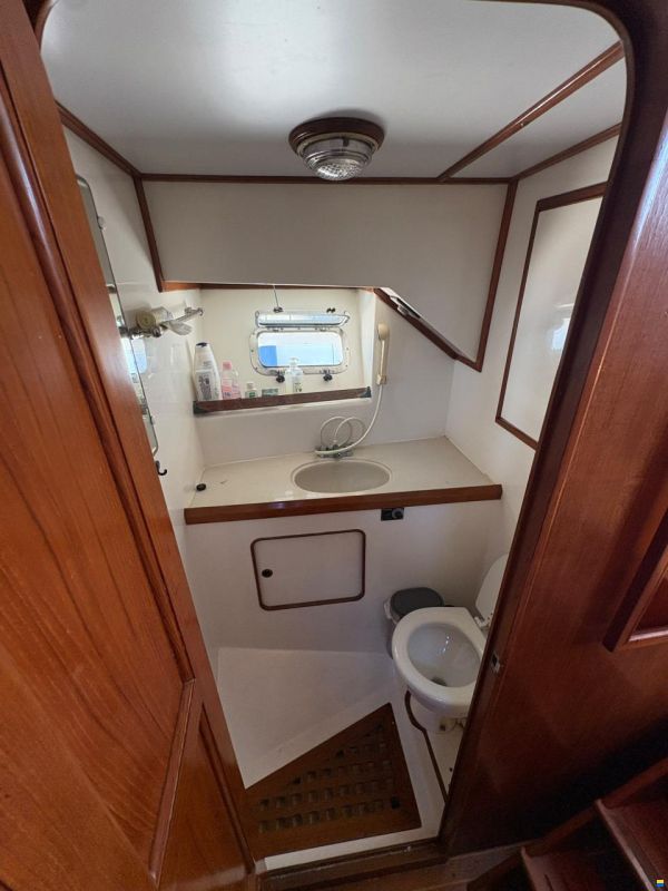 Tarquin Trader 41+2