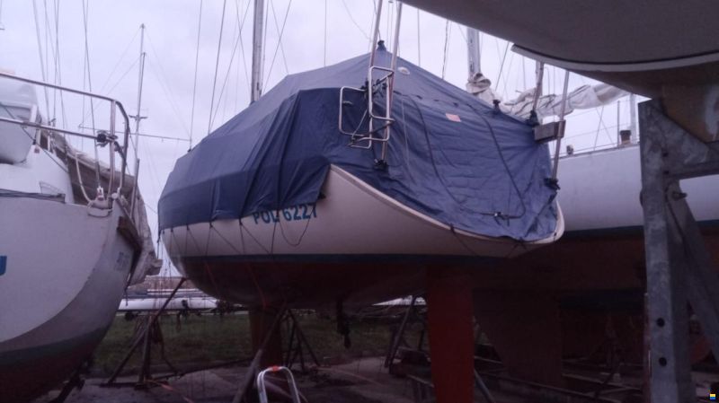 Bavaria 38