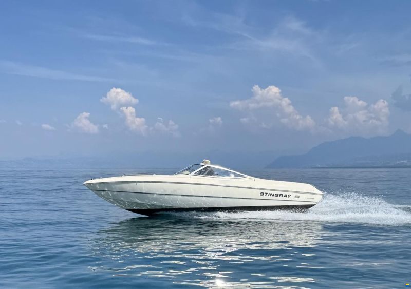 Stingray 200 LX
