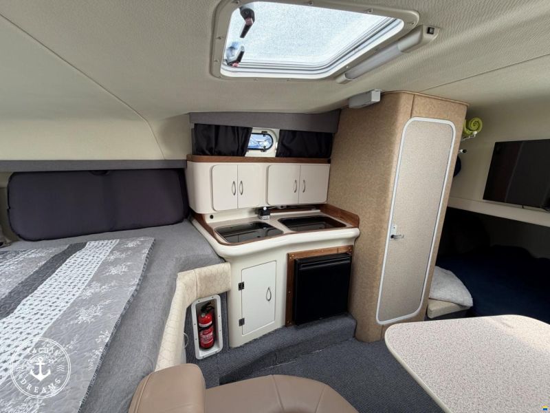 Cuddy 980