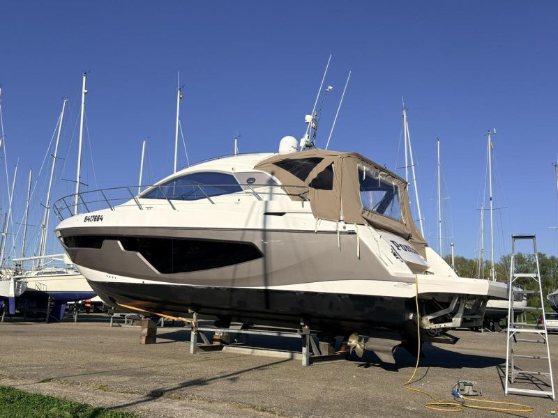 Sessa C44