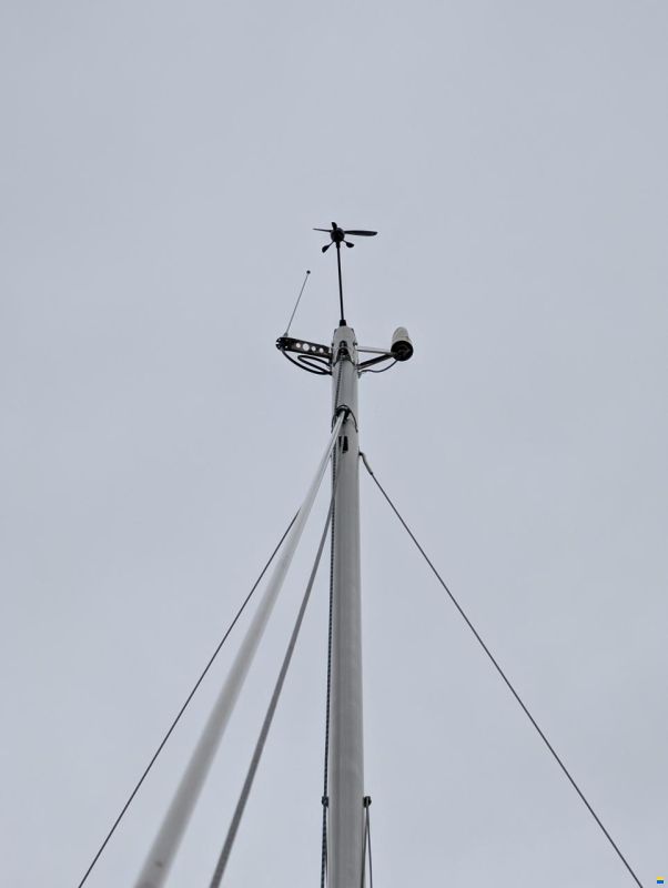 Delphia 31