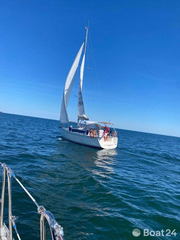 Delphia 31