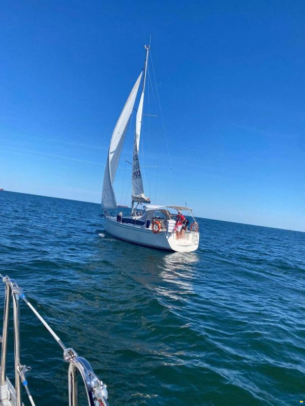 Delphia 31