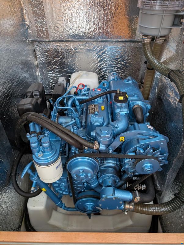 Delphia 31